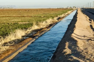 3 Faktor Kesuksesan Pertanian Thailand Drone Salah Satunya-Canal-Style Irrigation dan Perataan Tanah