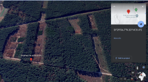 DJI Zenmuse L2 LIDAR untuk Pengelolaan Hutan Yang Efisien-teknis pengelolaan sumber daya hutan