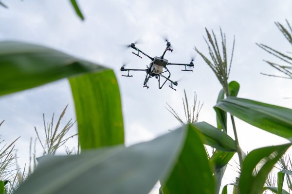 DJI Agras t30 drone untuk pertanian di era 4.0