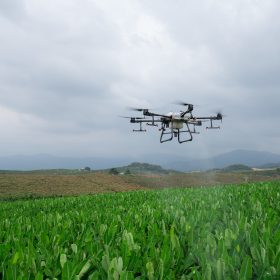 dji-agras-t30-drone-pertanian-pisang-scaled.jpg