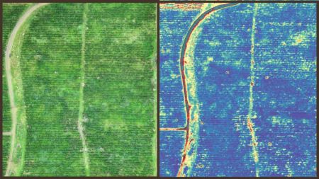 kamera-multispectral-input-pertanian-kesuburan-tanah-dengan-drone-dji-dan-sensor-micasense.jpg