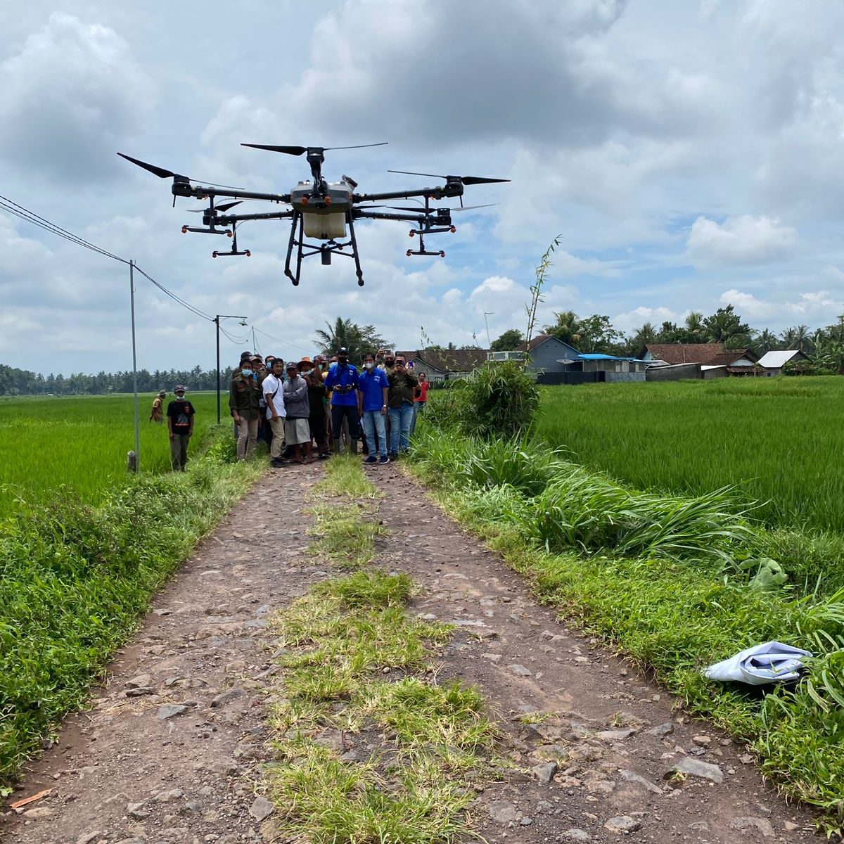 dji-agras-aplikasi-drone-pertanian-modern-agras-t30-agras-t10.jpg