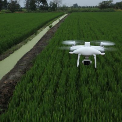 drone-pertanian-dji-phantom-4-multispectral-pertanian-presisi.jpeg